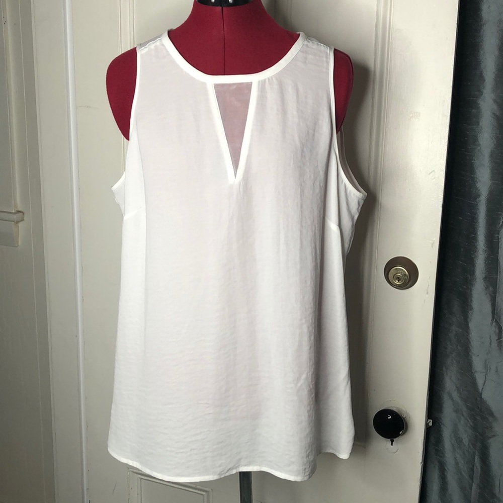 Banana Republic White Illusion Net Top
